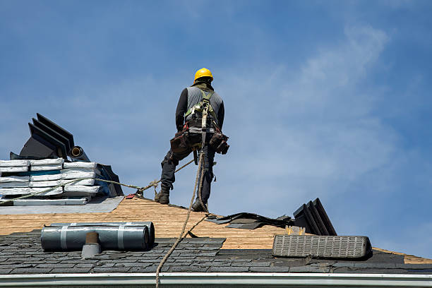 Professional Roofing technician working in Eleva, WI